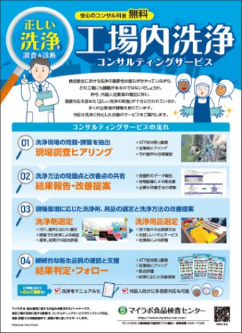 コンサルティングサービス案内